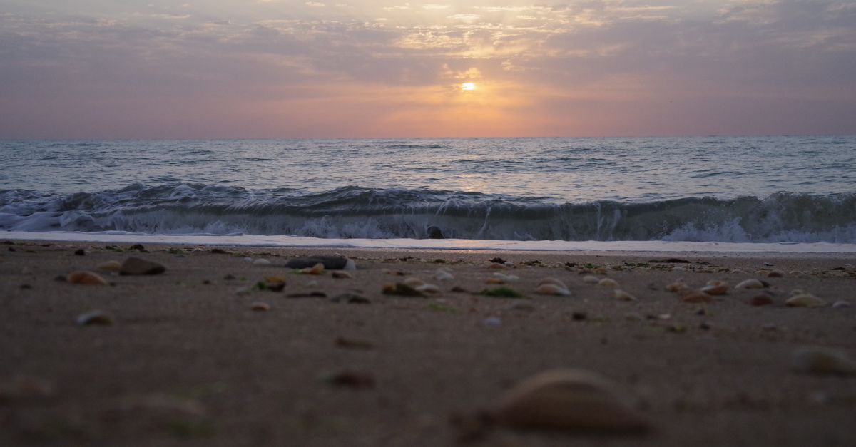 Relaxing scene of sunrise over the ocean with gentle waves and seashells on the sandy shore.