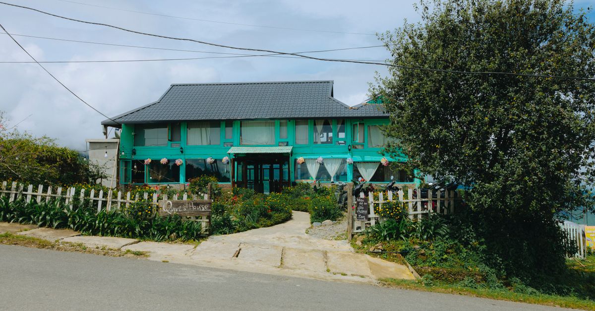 Vibrant green guest house surrounded by lush greenery and a serene road setting.