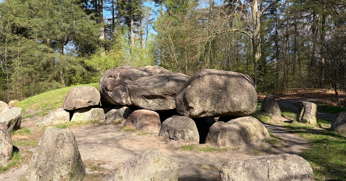 A prehistoric dolmen surrounded by trees in the scenic Drenthe forest under clear skies.