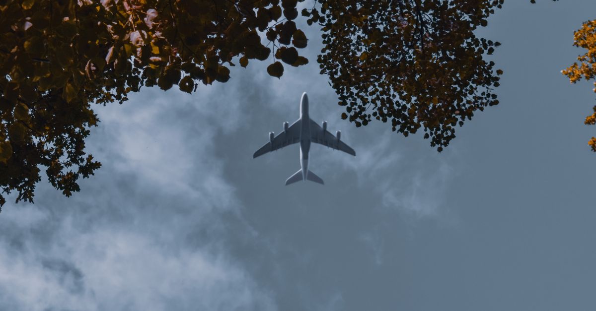 From below of modern white airplane flying in blue sky above autumn trees in sunny day