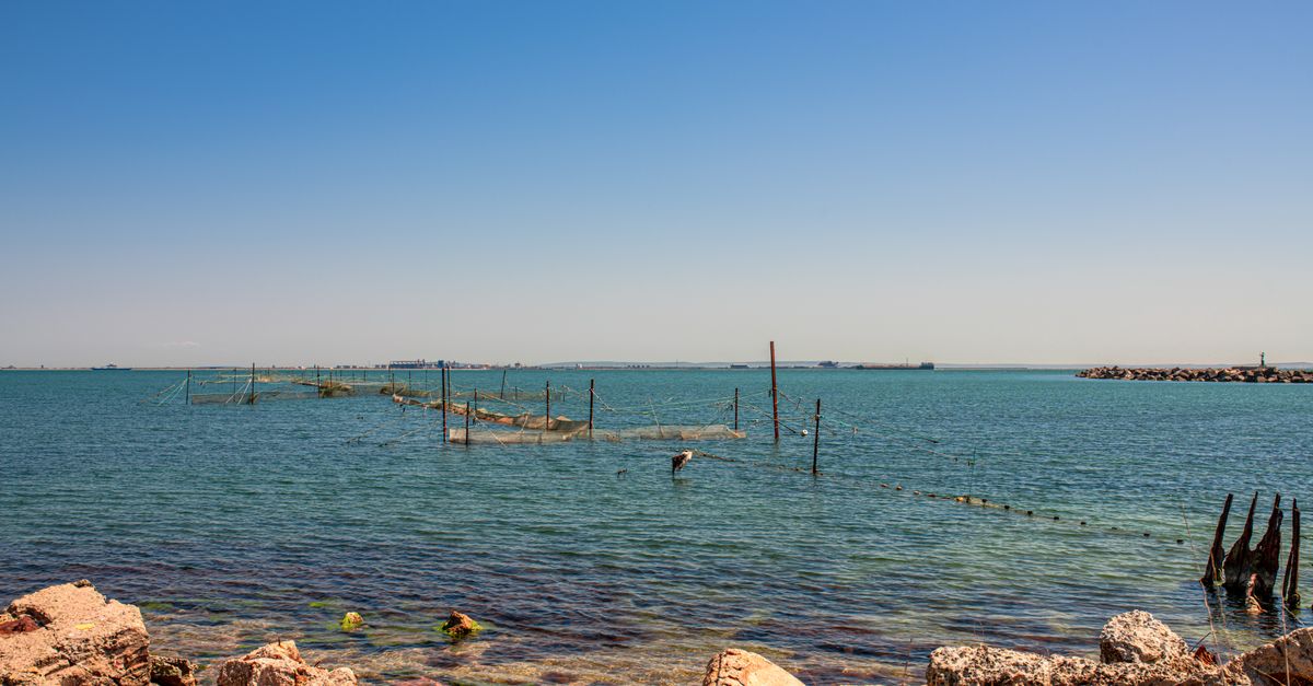 A serene coastal view featuring fishing nets in the sea near Kerch, under a clear blue sky.