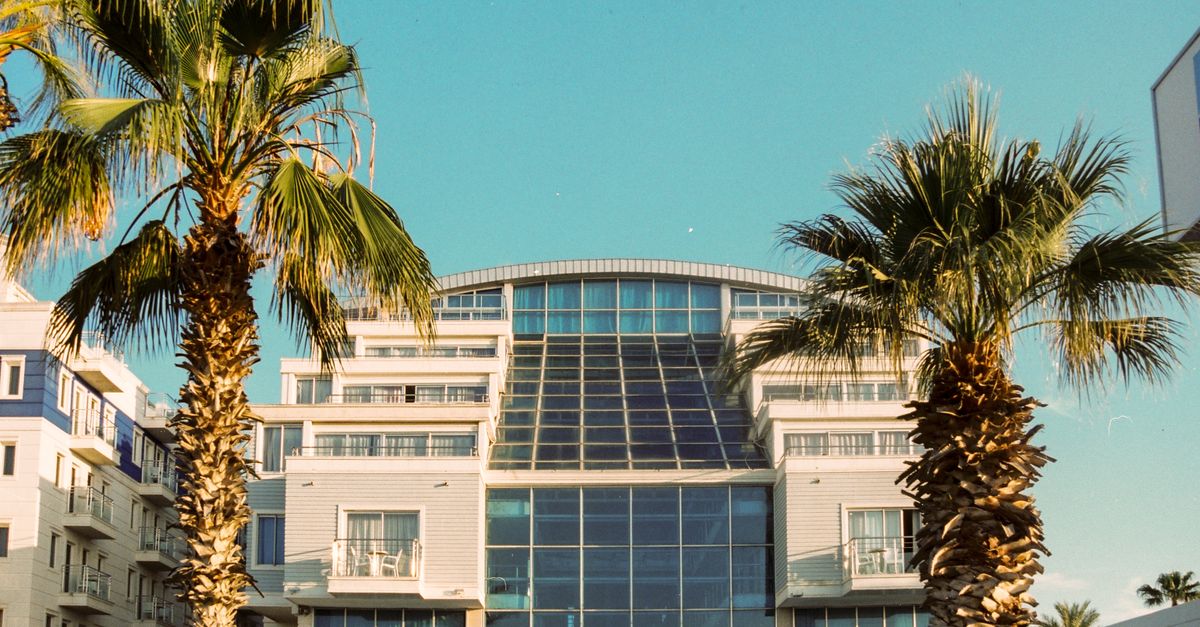 A contemporary hotel facade framed by palm trees under a clear blue sky in Türkiye.