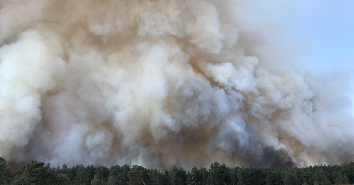 Dramatic scene of dense smoke clouds towering over a forest affected by wildfire.