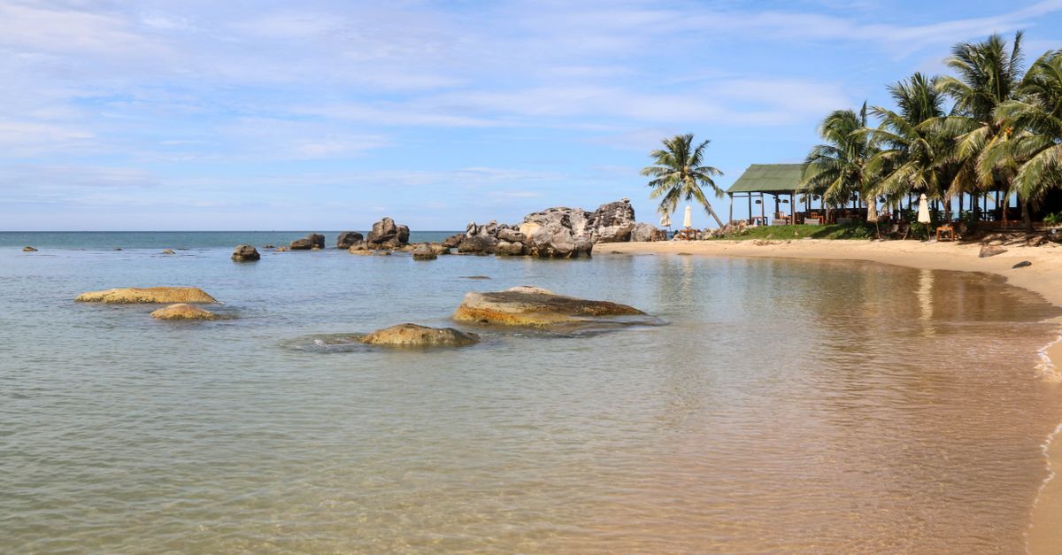Serene beach landscape with palm trees, rocks, and clear water. Perfect tropical getaway setting.