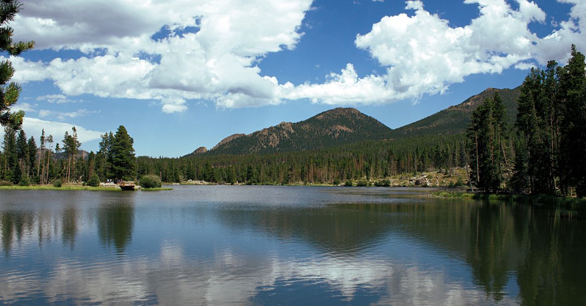 Peaceful mountain lake scene with pine trees and calm water reflection under a bright sky.