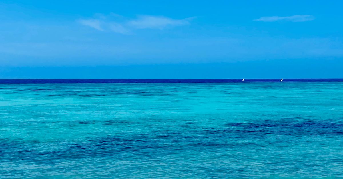 Explore the breathtaking turquoise waters of Zanzibar's serene beach, ideal for tropical escapes.