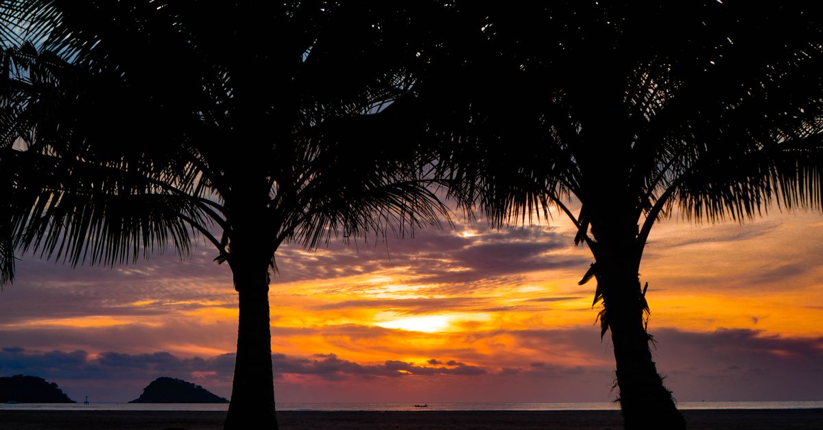 Stunning sunset with palm tree silhouettes at Ko Chang beach, Thailand.